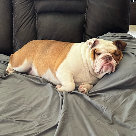 Our Baby Girl Miss Bella B - Picture 5 of 16